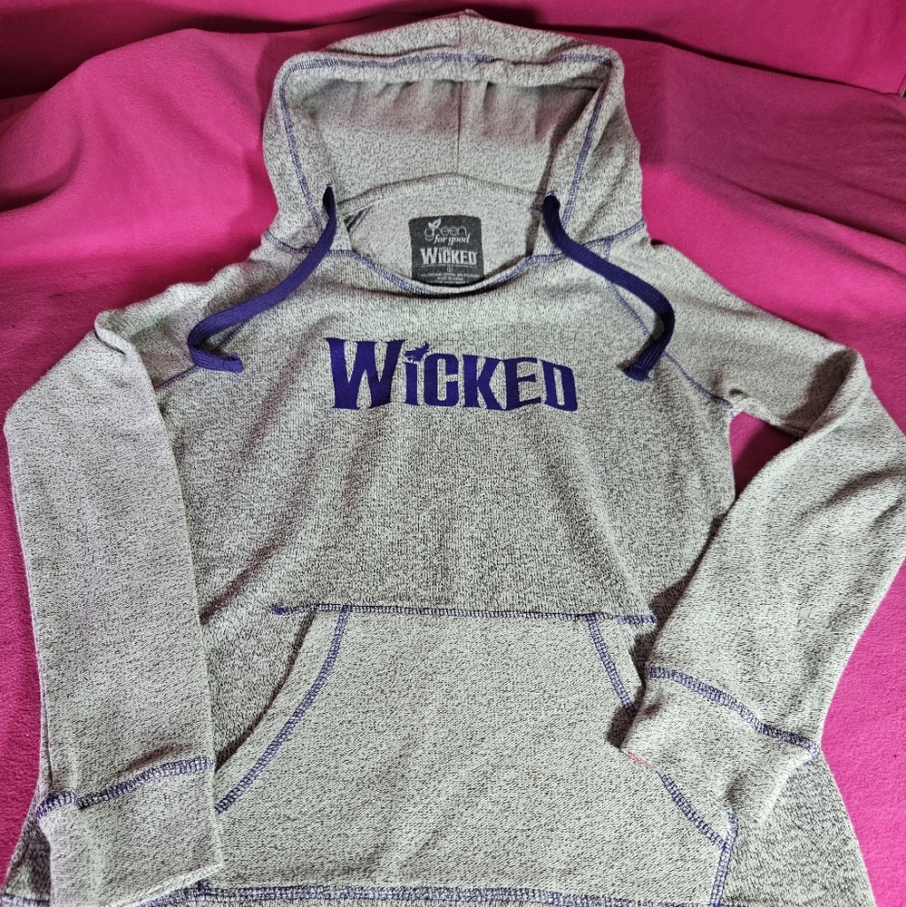 Wicked Gray and Purple Hoodie Size Small